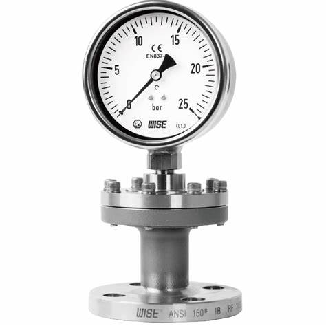 DIAPHRAGM SEALS TYPE PRESSURE GAUGE ( WISE )